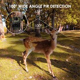 Wildcamera 48MP Nachtzicht WiFi Bluetooth - 29% Korting