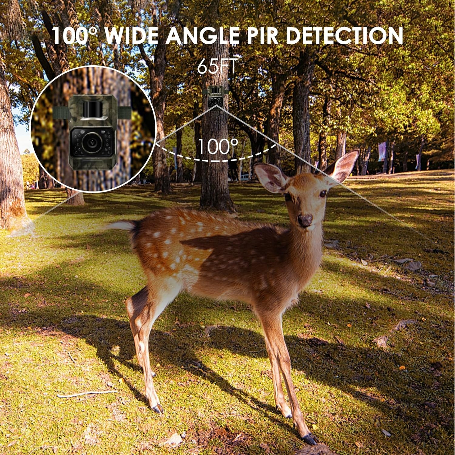Wildcamera 48MP Nachtzicht WiFi Bluetooth - 29% Korting