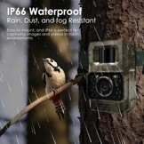 Wildcamera 48MP Nachtzicht WiFi Bluetooth - 29% Korting