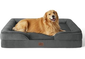 Orthopedisch Hondenbed XL 59% Korting - Extra Comfort & Steun