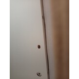 ErGear Elektrisch Zit-Sta Bureau - 160 x 80 cm - 100 kg Draagvermogen Hoogte Verstelbaar Bureau met Geavanceerde Borstelloze Motor, Stille Werking, Robuust Metalen Frame