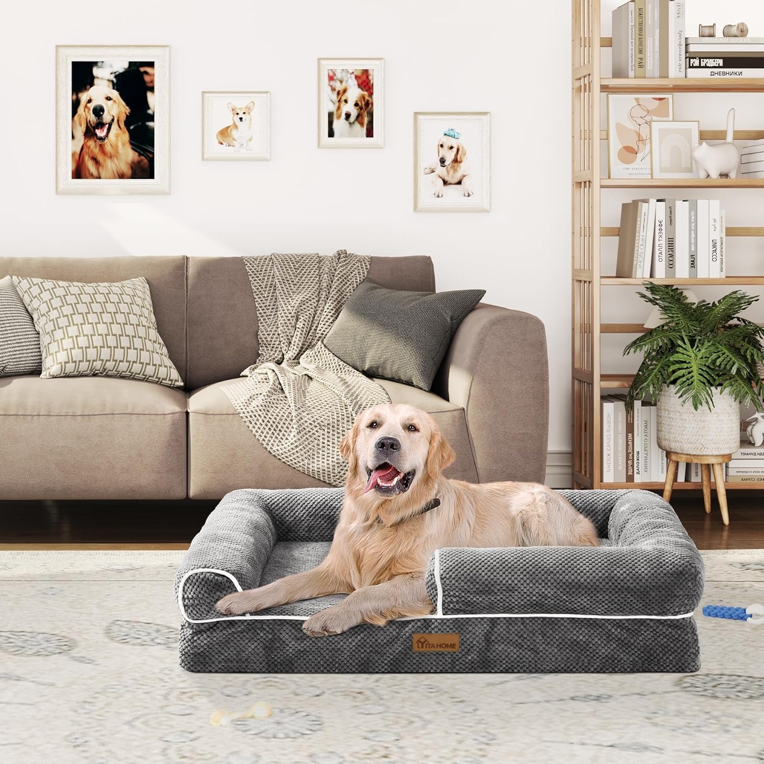 YITAHOME Middelgrote hondenbedbank, afneembare wasbare hoes, huisdierbed met volledig gevulde zijranden, zacht en gezellig, voor grote en extra grote honden, 89 x 63 x 18 cm, grijs (135 x 107 x 22 cm