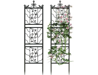 Set van 2 Zwarte Klimrekken Smeedijzer - 195x50cm - 35% Korting