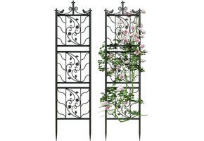Klimrek voor Klimplanten Set van 2 | Zwart Metaal 195x50cm | 35% Korting