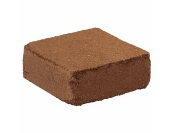 vidaXL Kokosvezelblokken 2 st 5 kg elk 10 kg totaal