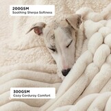 Bedsure Waterdichte Honden Dekendekens XL - Wasbare Pluche Hondendeken voor Sofa en Bed Protector, 127x152cm, Crème