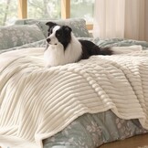 Bedsure Waterdichte Honden Dekendekens XL - Wasbare Pluche Hondendeken voor Sofa en Bed Protector, 127x152cm, Crème