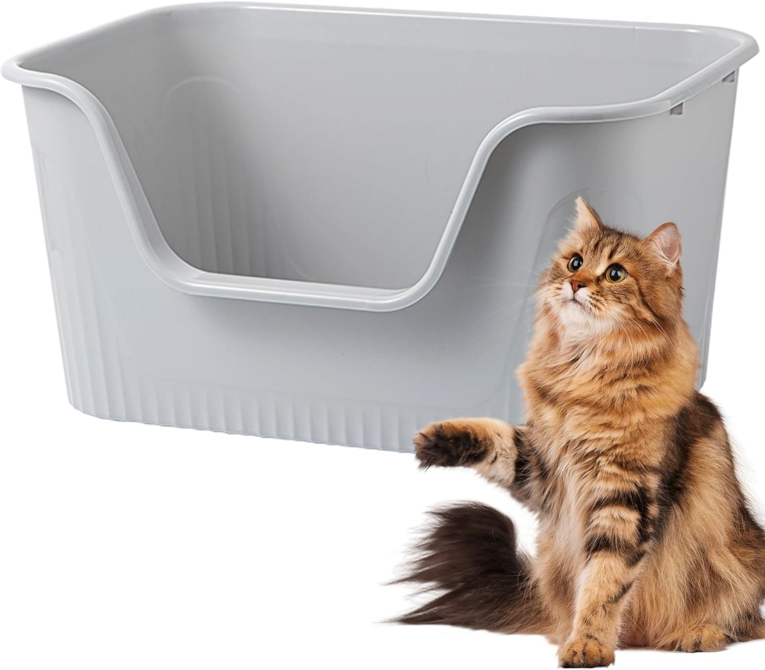 Vealind Kattenbak met hoge zijden en lage ingang 100% lekbestendig anti-spat open top kattenbak kattenbak voor kittens