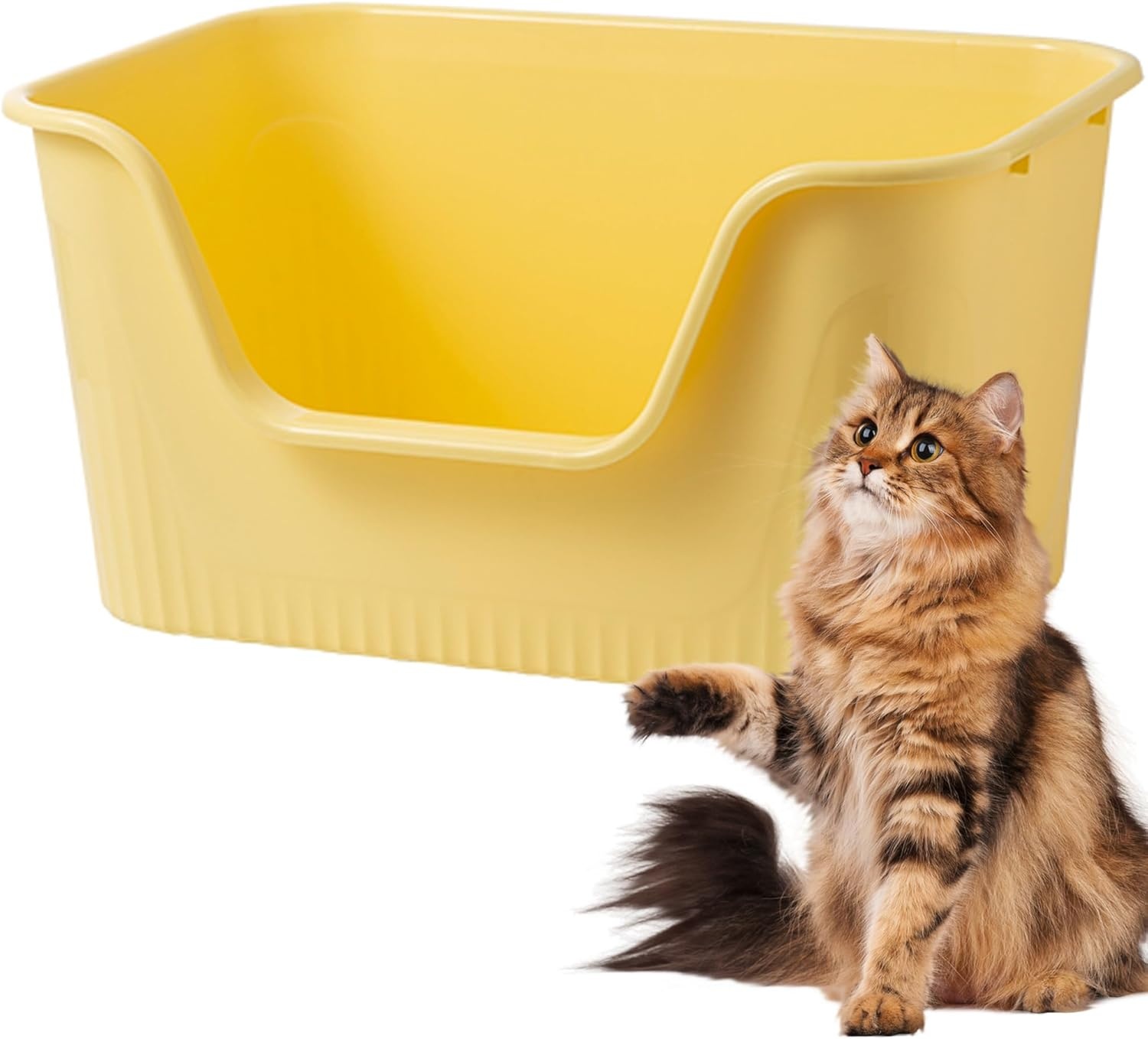 Vealind Kattenbak met hoge zijden en lage ingang 100% lekbestendig anti-spat open top kattenbak kattenbak voor kittens