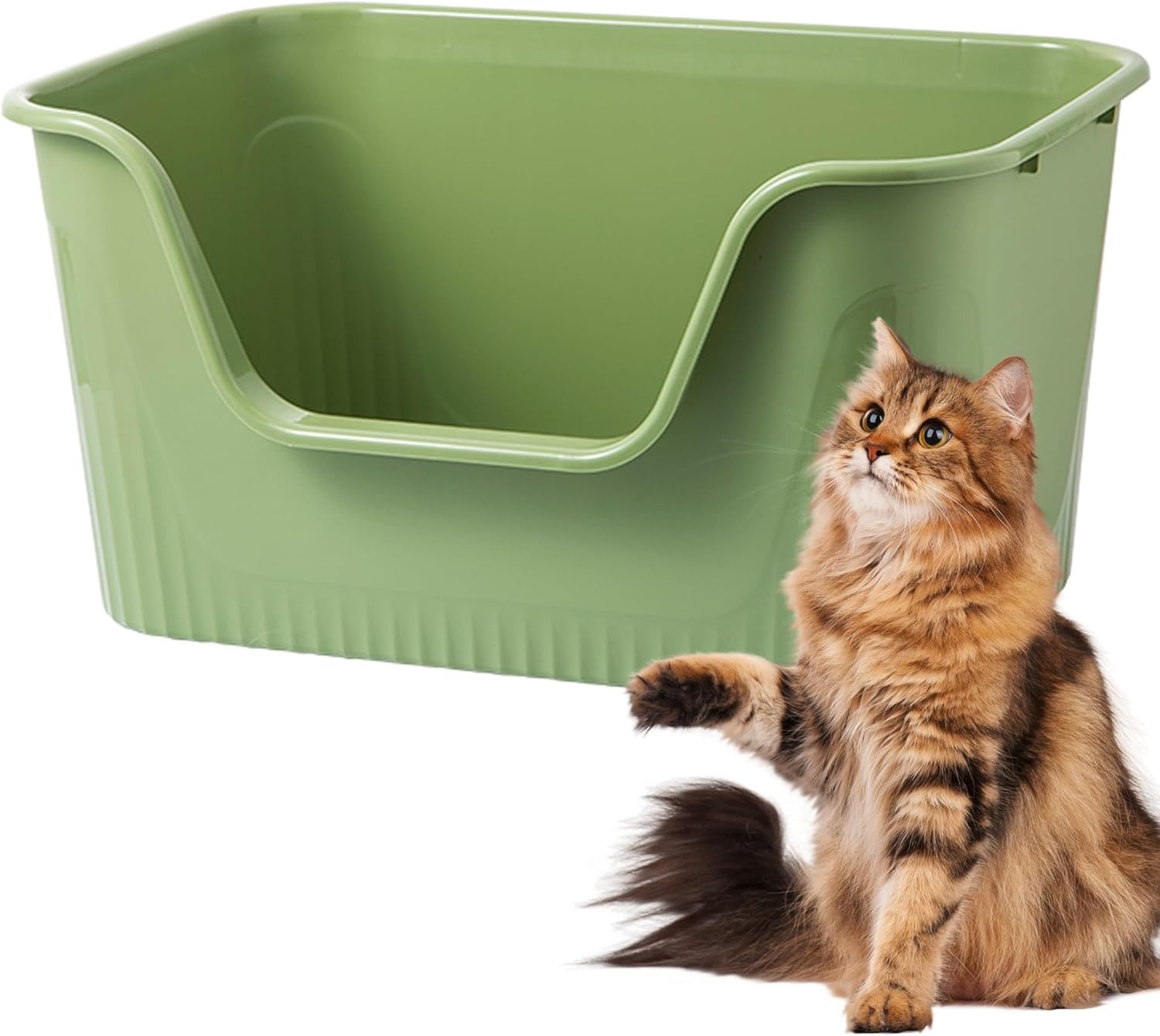 Vealind Kattenbak met hoge zijden en lage ingang 100% lekbestendig anti-spat open top kattenbak kattenbak voor kittens