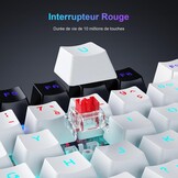 TECURS AZERTY Mechanisch Gaming Toetsenbord - 80% TKL, Backlit, Rood Switches, USB-C & 2.4G Draadloos