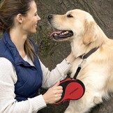 Rollijn 8m voor Middelgrote/Grote Honden tot 50kg - Zwaarteschicht Uitschuifbare Hondenriem met Kabelbestendig Koord, Poepzakhouder en Antislip Handgreep (Rood)