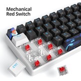 60% Mechanical Gaming Keyboard, 61 Keys with Linear Red Switch, Wired Mechanical Keyboard with LED Backlight, Compact Keyboard with Type C Cable, for PS5/PS4 (61 Black)