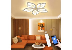 LED Plafondlamp Dimbaar 40-80W - Kleurverandering & App