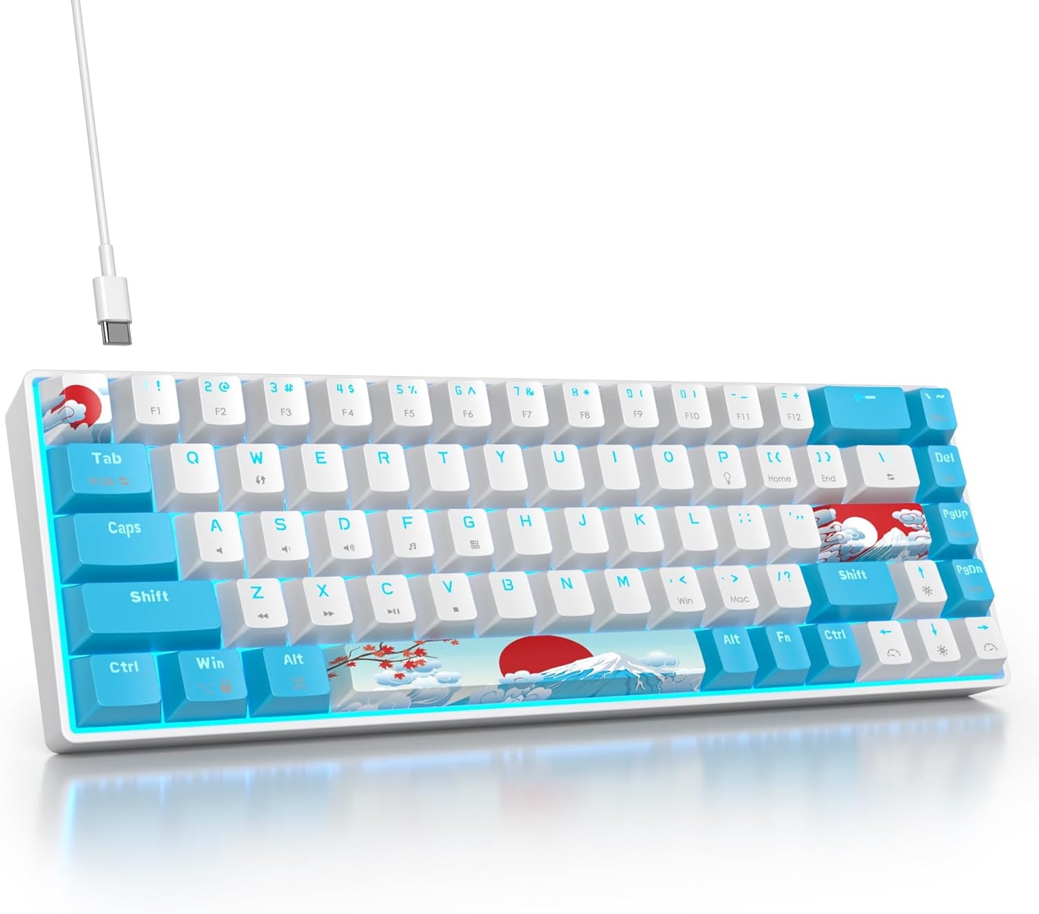 SOLIDEE 65% Compacte Mechanische Gaming Toetsenbord QWERTY met Rode Schakelaars en RGB Verlichting - Zeeblauw