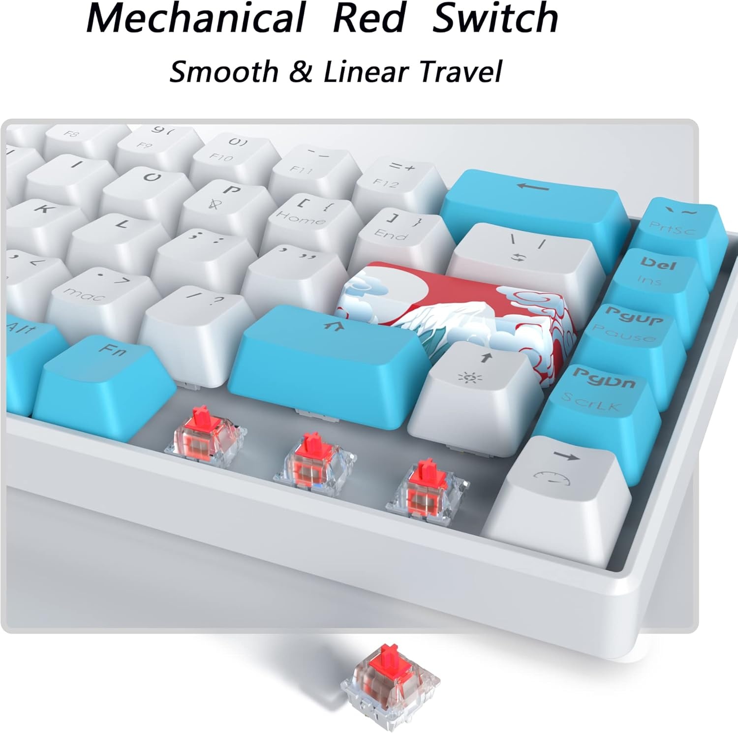 SOLIDEE 65% Compacte Mechanische Gaming Toetsenbord QWERTY met Rode Schakelaars en RGB Verlichting - Zeeblauw