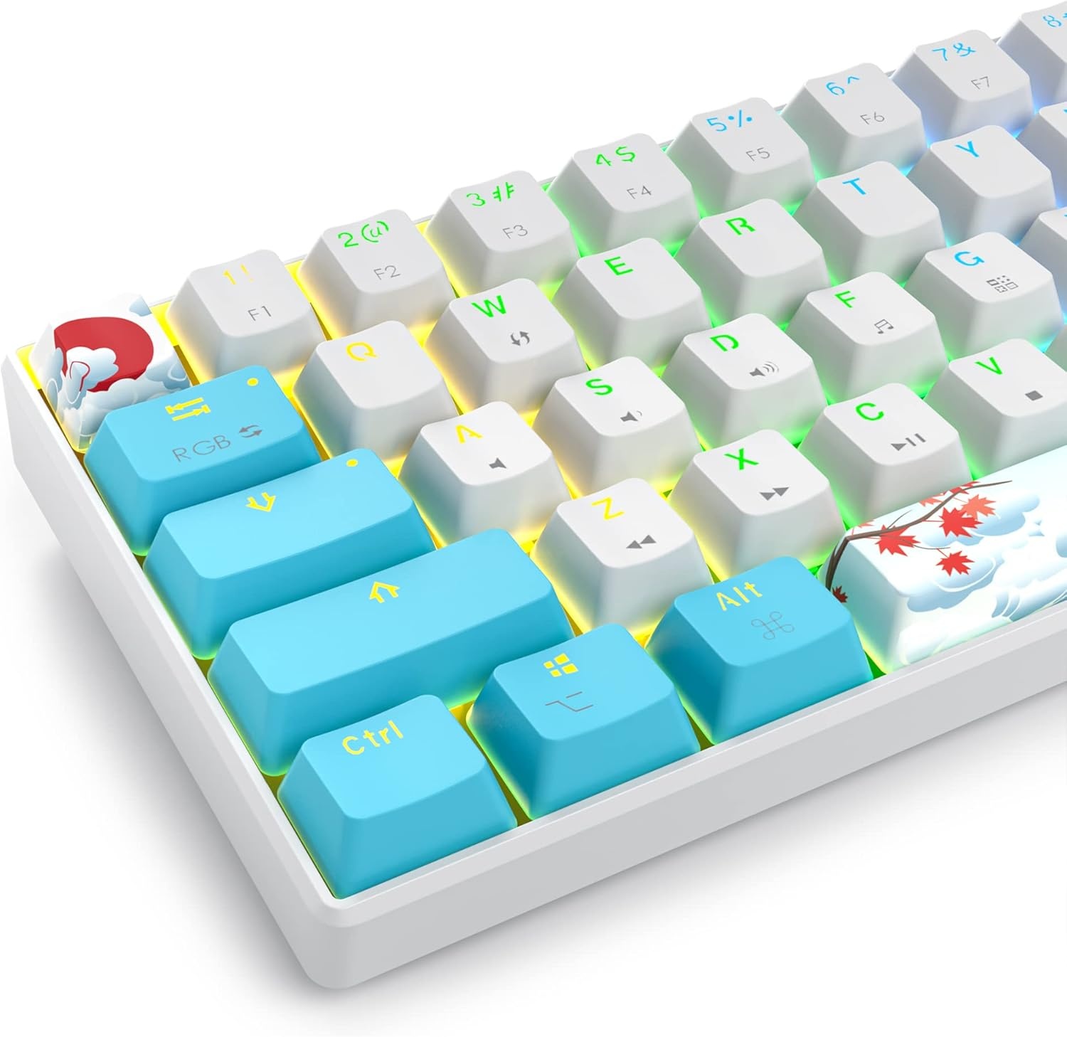 SOLIDEE 65% Compacte Mechanische Gaming Toetsenbord QWERTY met Rode Schakelaars en RGB Verlichting - Zeeblauw