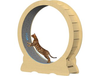 Houten loopwiel voor katten, 100 cm binnendiameter, fluisterstil kattenspeelgoed, XL, houtkleur