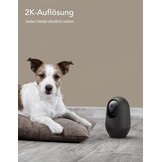 nooie Baby Monitor with Camera, 2K 360° Baby Monitor, WiFi, Indoor Surveillance Camera, Dog Camera with App, Motion Tracking, Night Vision, 2-Way Audio, Compatible with Alexa/Google Home