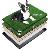 MEEXPAWS Hondengras plaspads voor honden met dienblad | medium 31 × 21 inch | 2 x vervanging van kunstgrasmatten voor honden | snelle afvoer | kattenbak voor binnen | omzoomde rand