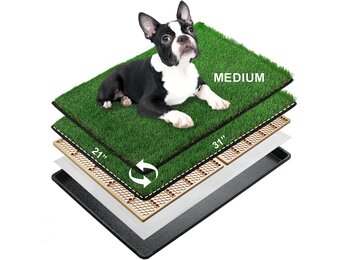 MEEXPAWS Hondengras plaspads voor honden met dienblad | medium 31 × 21 inch | 2 x vervanging van kunstgrasmatten voor honden | snelle afvoer | kattenbak voor binnen | omzoomde rand