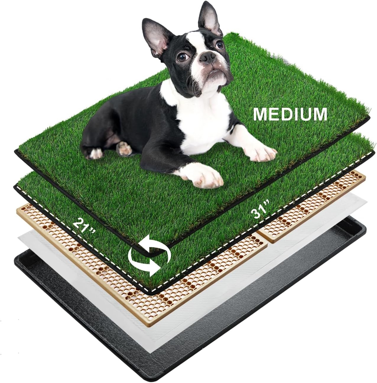 MEEXPAWS Hondengras plaspads voor honden met dienblad | medium 31 × 21 inch | 2 x vervanging van kunstgrasmatten voor honden | snelle afvoer | kattenbak voor binnen | omzoomde rand