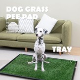MEEXPAWS Hondengras plaspads voor honden met dienblad | medium 31 × 21 inch | 2 x vervanging van kunstgrasmatten voor honden | snelle afvoer | kattenbak voor binnen | omzoomde rand