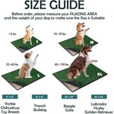 MEEXPAWS Hondengras plaspads voor honden met dienblad | medium 31 × 21 inch | 2 x vervanging van kunstgrasmatten voor honden | snelle afvoer | kattenbak voor binnen | omzoomde rand