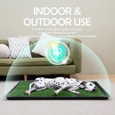 MEEXPAWS Hondengras plaspads voor honden met dienblad | medium 31 × 21 inch | 2 x vervanging van kunstgrasmatten voor honden | snelle afvoer | kattenbak voor binnen | omzoomde rand