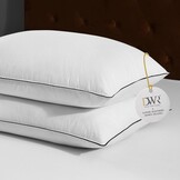 DWR Luxe ganzenveren dons kern kussens omgeven door polyester - Set van 2 - Maat 40x80cm - 100% biologische katoenen hoes - Maat 40x80 cm (2 Stück)