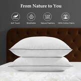 DWR Luxe ganzenveren dons kern kussens omgeven door polyester - Set van 2 - Maat 40x80cm - 100% biologische katoenen hoes - Maat 40x80 cm (2 Stück)