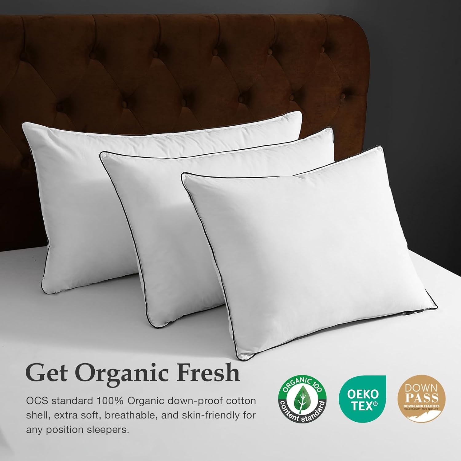 DWR Luxe ganzenveren dons kern kussens omgeven door polyester - Set van 2 - Maat 40x80cm - 100% biologische katoenen hoes - Maat 40x80 cm (2 Stück)