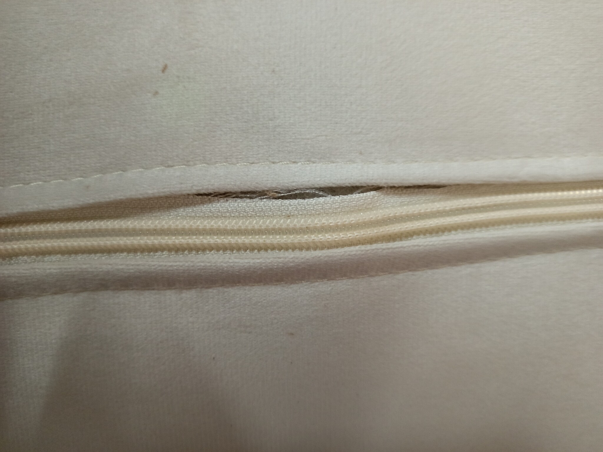 vidaXL Relaxstoel fluweel crèmekleurig