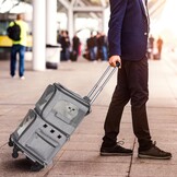 Kattenrugzak met dubbele compartimenten en afneembare wielen, opvouwbare hondendragerrugzak, huisdierendrager rugzak voor 2 katten, kleine honden, grijs, XL