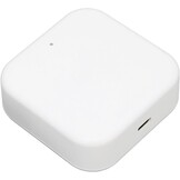 Smart WiFi Gateway voor Deurslot met App Bediening en Voice Control