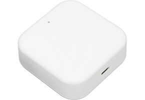 Smart WiFi Gateway voor Deurslot | App & Voice Control | 70% Korting