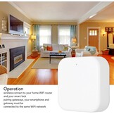 Smart WiFi Gateway voor Deurslot met App Bediening en Voice Control