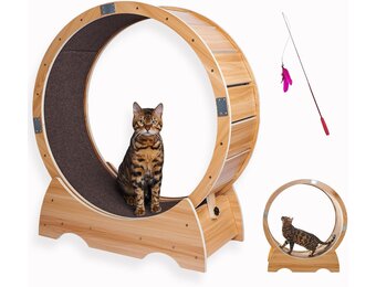 Kattenlooprad met Remfunctie - Houten Speelfiguur & Trainingsapparaat