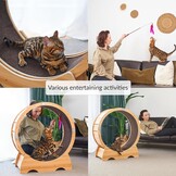 Kattenlooprad met Remfunctie - Houten Speelfiguur & Trainingsapparaat
