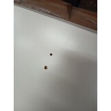 Salontafel 90x60x35 cm wit bewerkt hout - 85% korting
