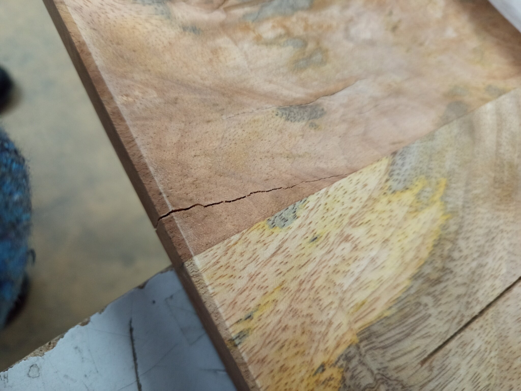 vidaXL Tafelblad met natuurlijke rand 110x80x2,5 cm massief mangohout