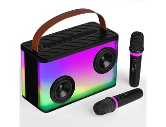 BONAOK K20 Karaoke Systeem met 2 Microfoons en Bluetooth Speaker