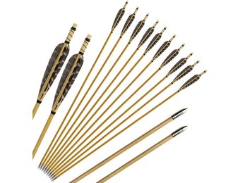Huntingdoor Houten Pijlen voor Boogschieten (31 inch, 12 stuks)