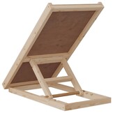 vidaXL Hondenloopplank 70x35 cm massief vurenhout grijs