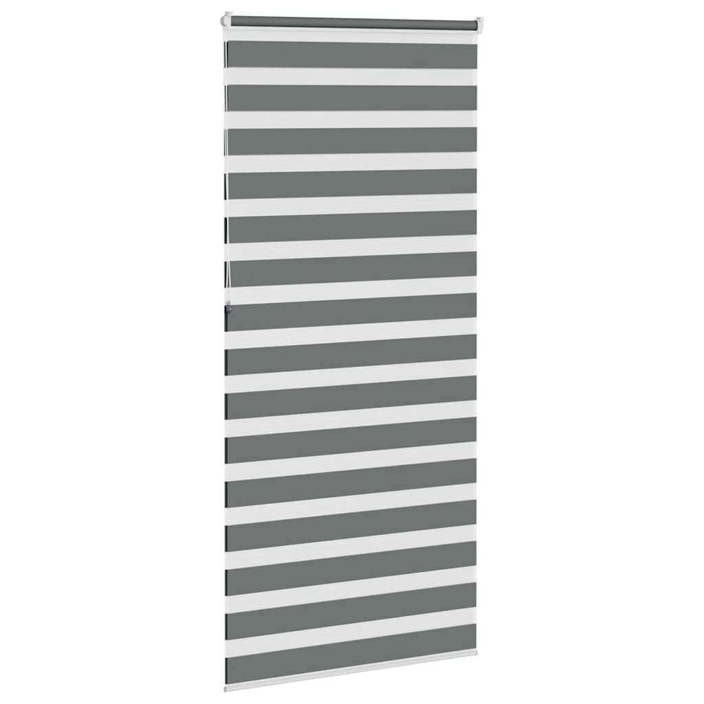 vidaXL Zebra rolgordijn 100x230 cm stofbreedte 95,9 cm donkergrijs