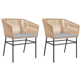 vidaXL Tuinstoelen 2 st met kussens poly rattan bruin