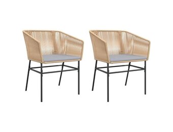 vidaXL Tuinstoelen 2 st met kussens poly rattan bruin