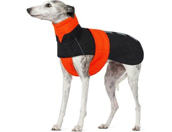 Warme Oranje Winterjas voor Windhonden (XL) - Waterafstotend & Reflecterend