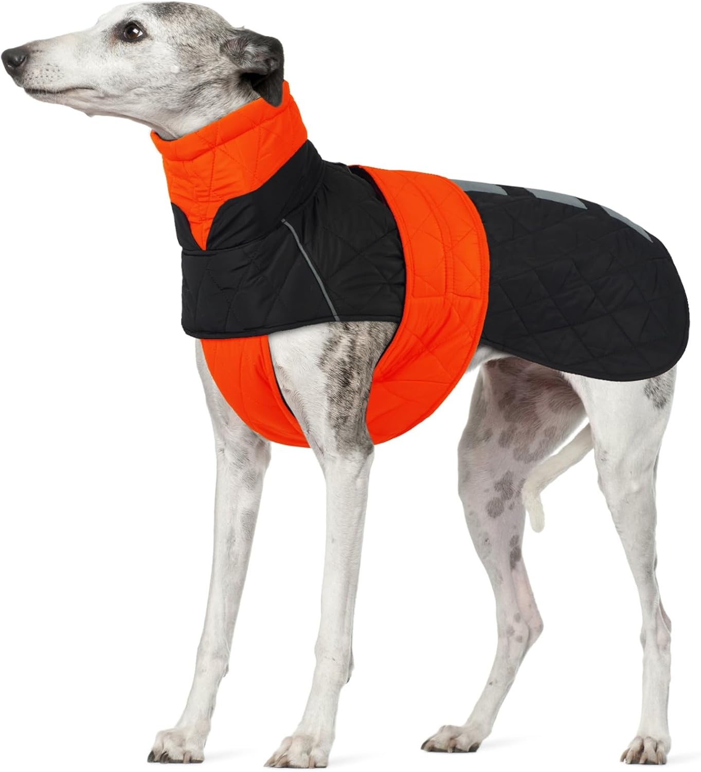 Warme Oranje Winterjas voor Windhonden (XL) - Waterafstotend & Reflecterend