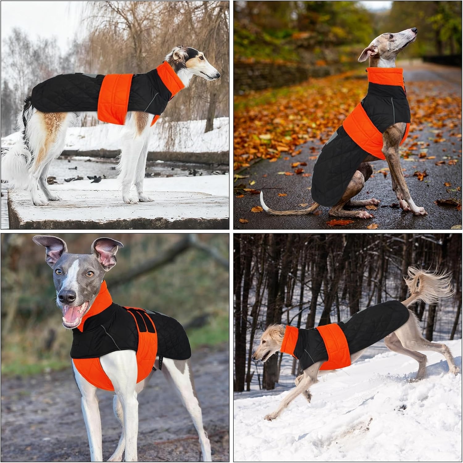 Warme Oranje Winterjas voor Windhonden (XL) - Waterafstotend & Reflecterend